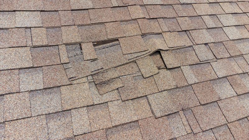Minor Shingle Repairs