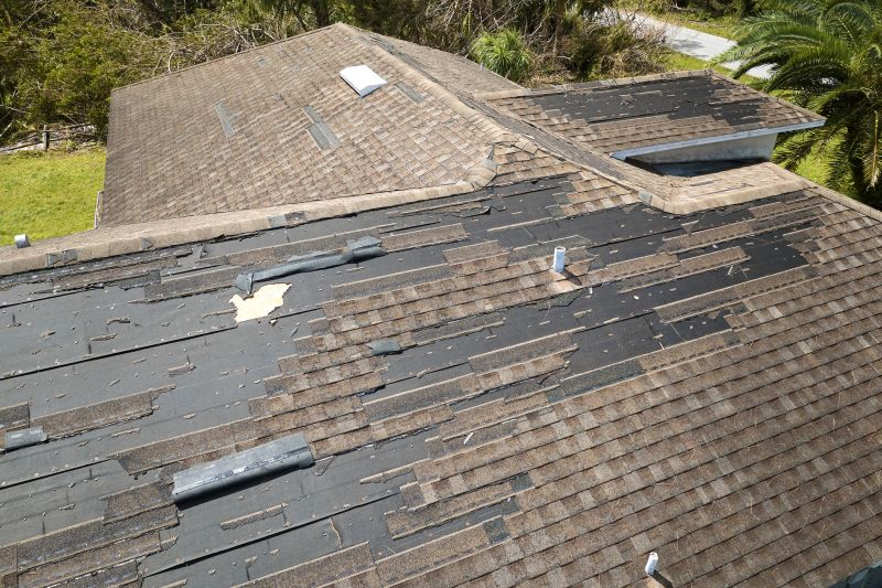 Complete Shingle Replacement