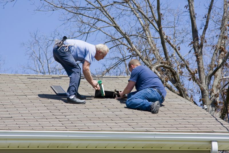 Roofing Maintenance Work